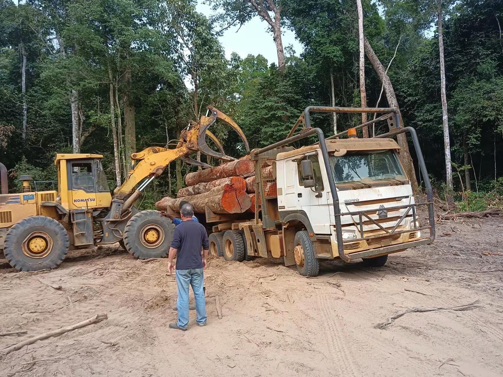 中国重汽HOWO原木车在林区堆场装原木
